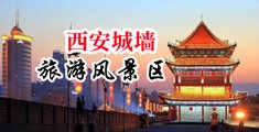 玩美女小骚逼视频网站不打码中国陕西-西安城墙旅游风景区