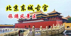 舔b操b免费视频中国北京-东城古宫旅游风景区